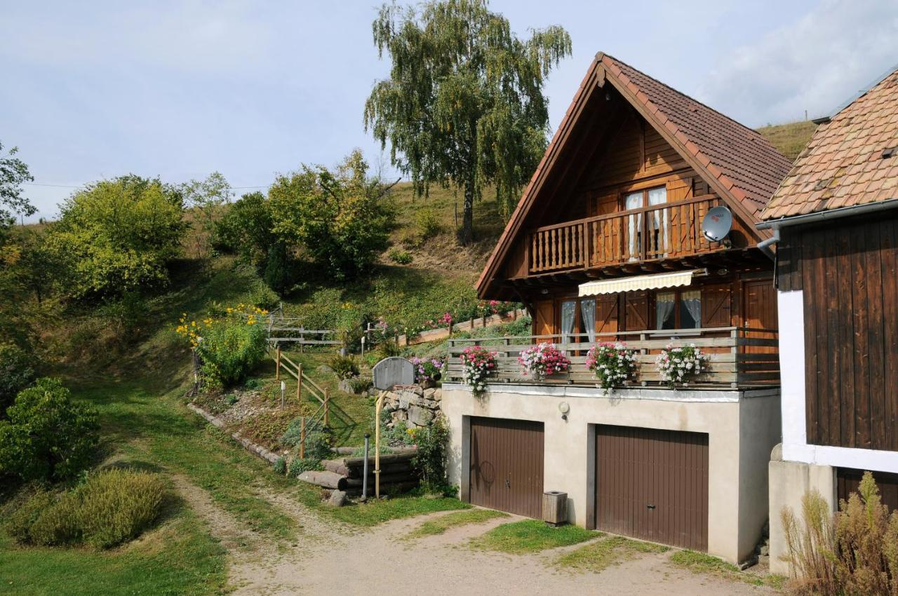 Chalet-Gite Berbuche Sainte-Croix-aux-Mines Luaran gambar