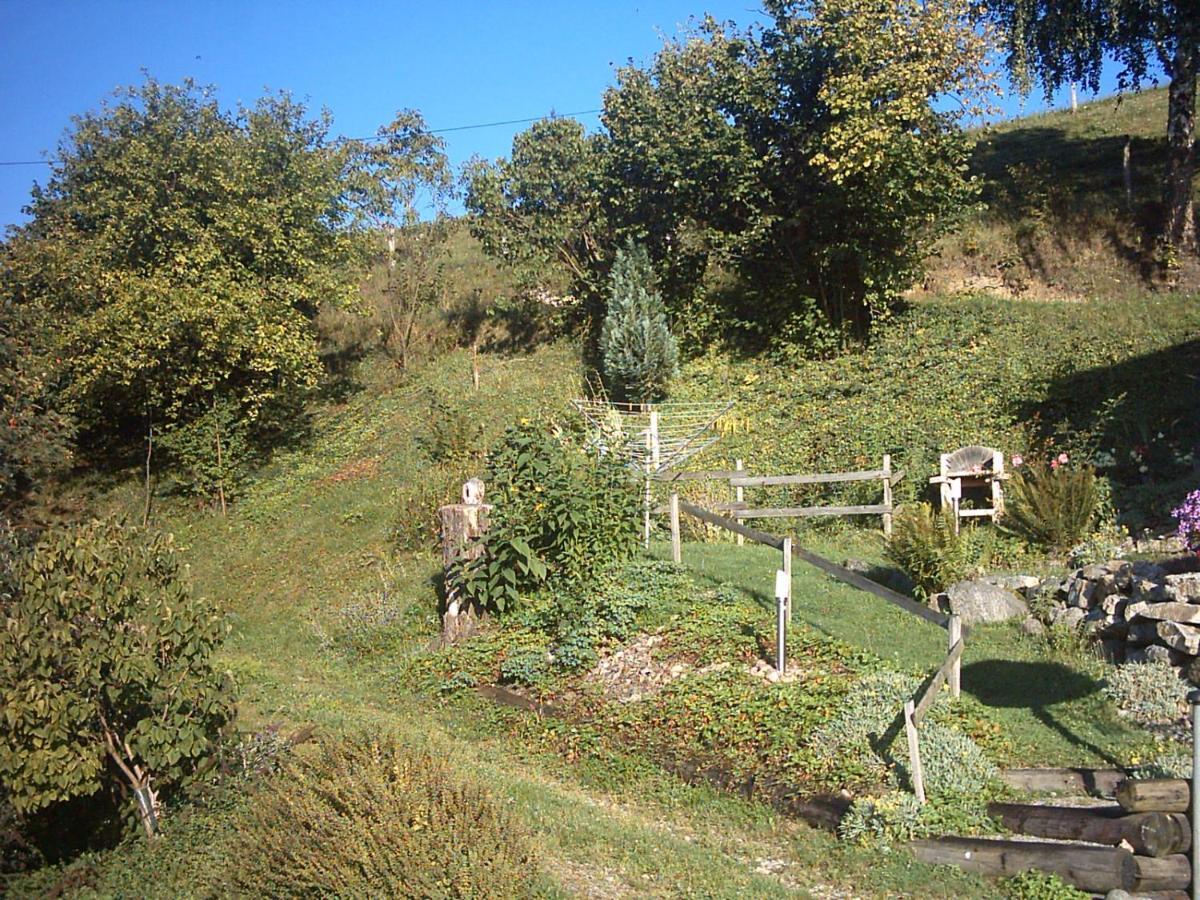 Chalet-Gite Berbuche Sainte-Croix-aux-Mines Luaran gambar